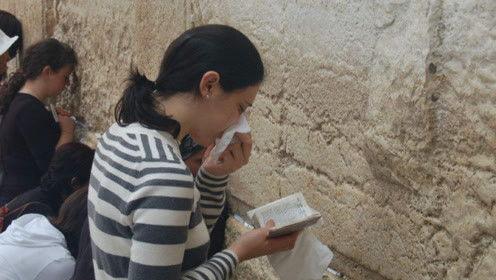 娱乐吃瓜君和毒舌,揭秘娱乐圈背后的真相